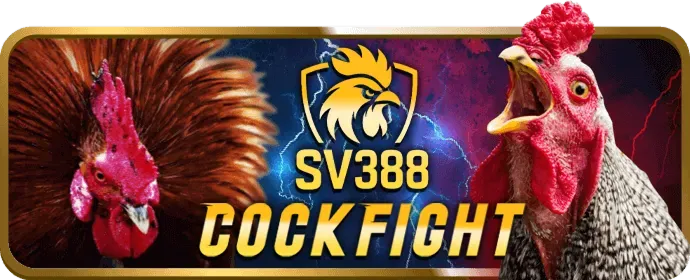 Banner khuyến mãi đá gà độc quyền tại VK88